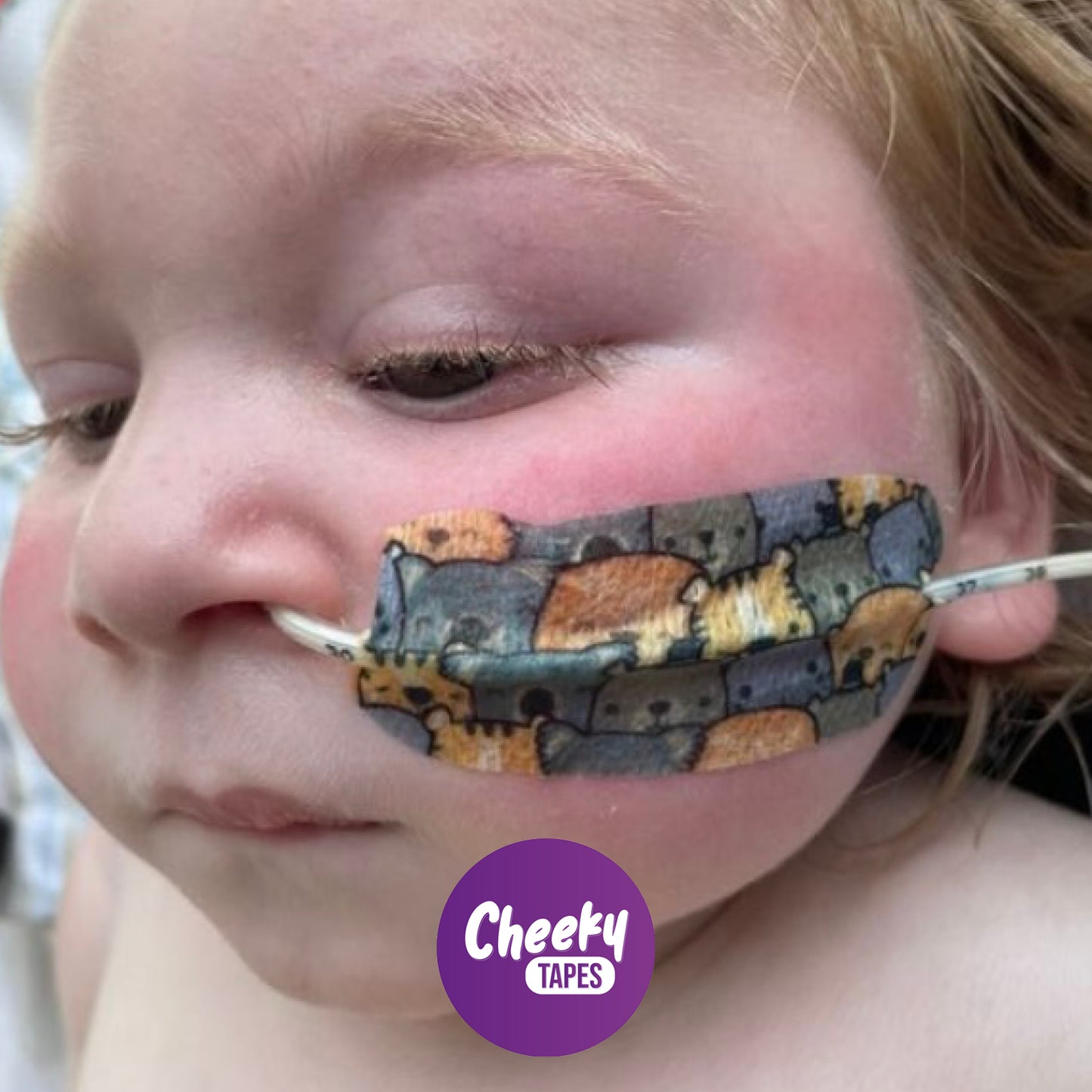 Zoo Animals Tape image 2