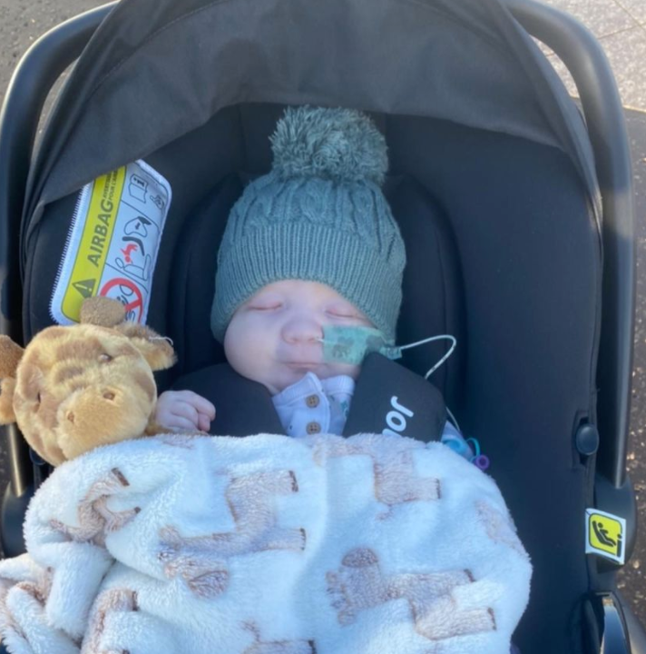 Elephants Tape image 2