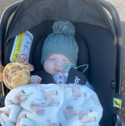 Elephants Tape image 2