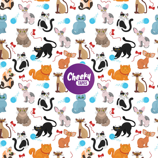 Cats Tape image 0