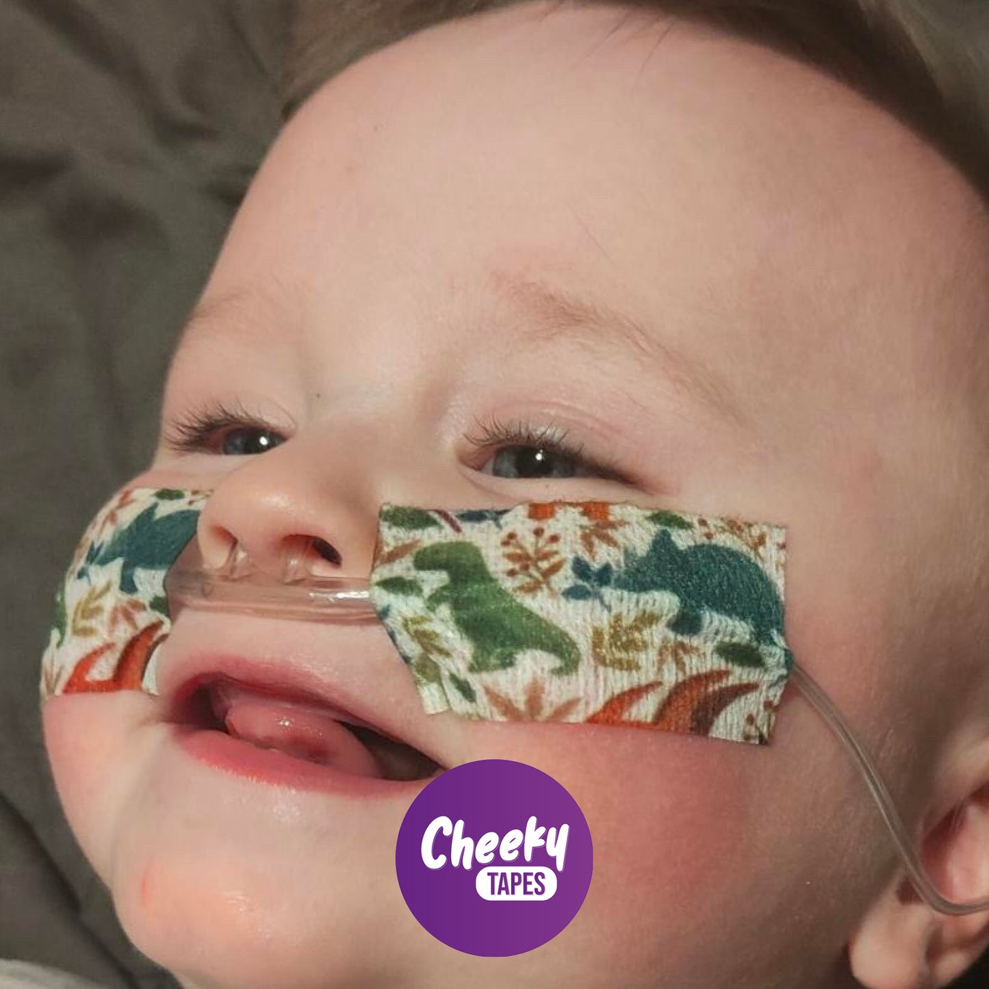 Colourful Dinosaurs Tape image 2