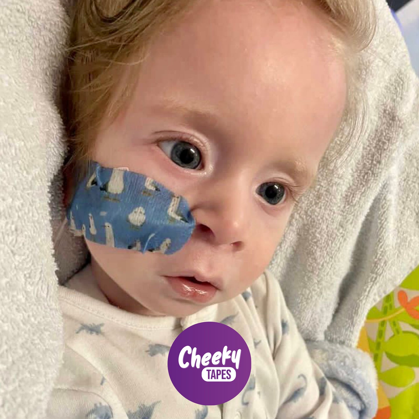 Seagulls Tape image 2