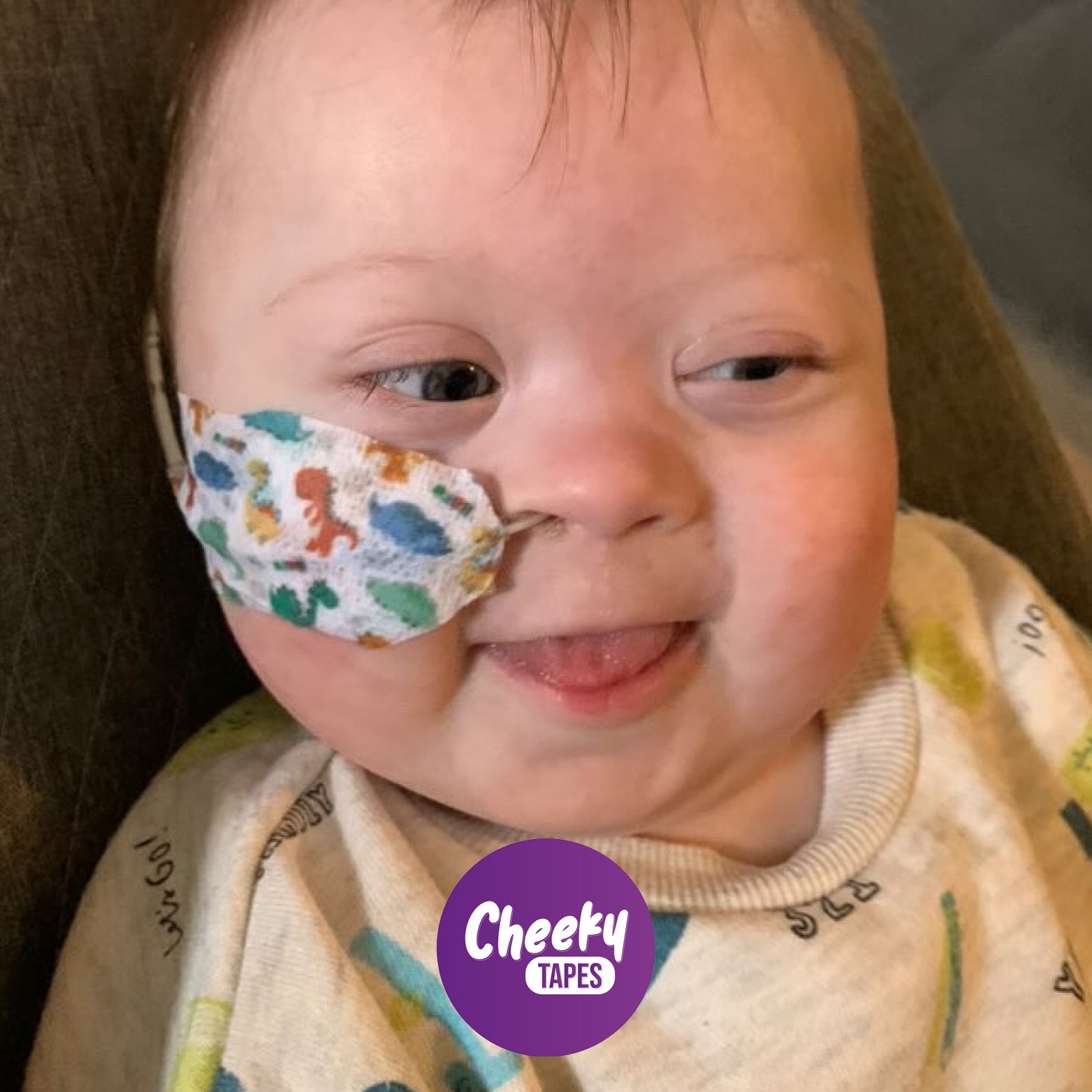 Mini Dinosaurs Tape image 2