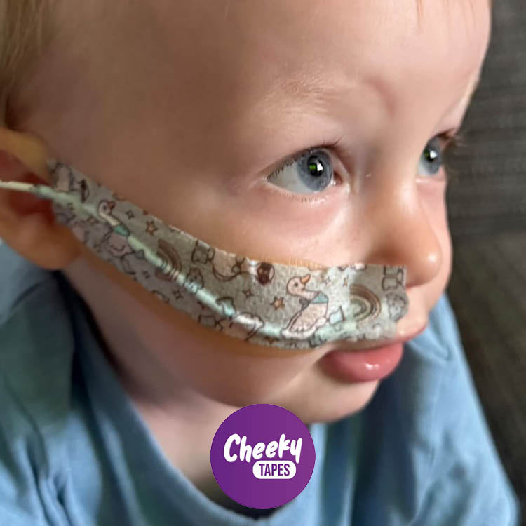 Blue Geese Tape image 2