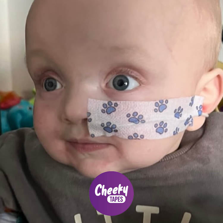 Paw Prints Tape image 2