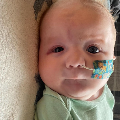 Animals Tape image 2